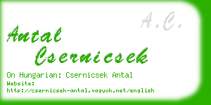 antal csernicsek business card